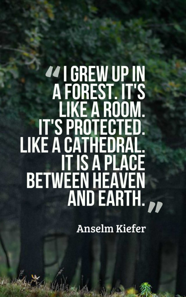 45 Inspirational Forest Quotes And Sayings