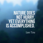 Nature does not hurry, yet everything is accomplished.