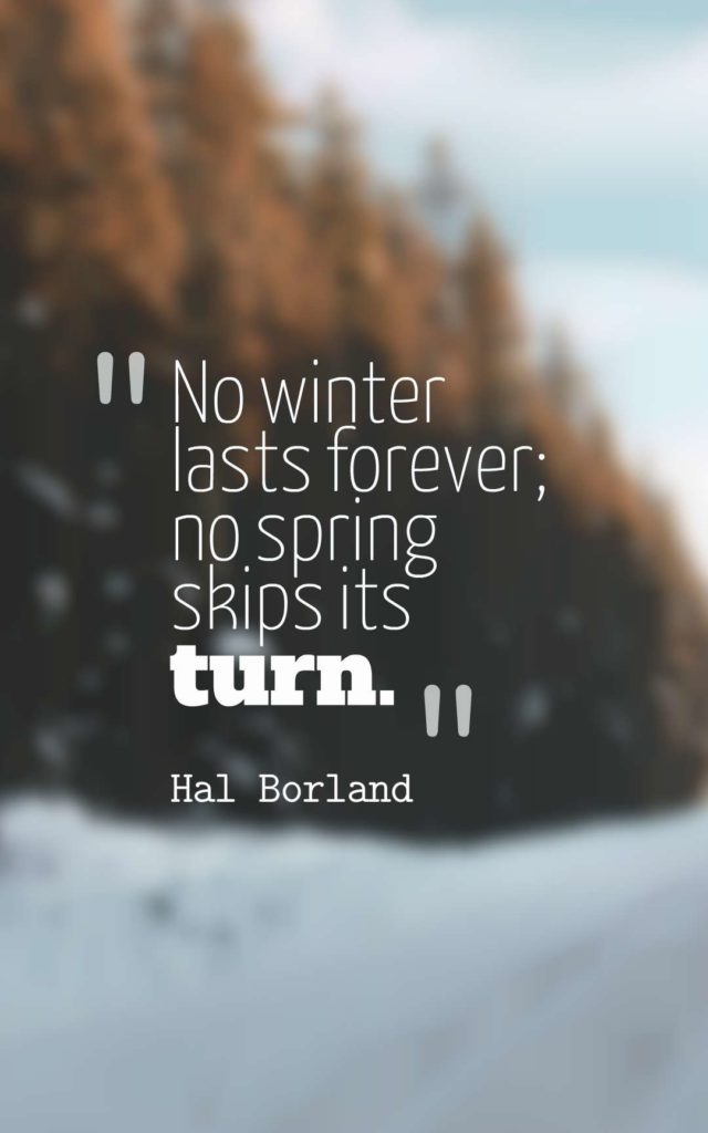 winter travel quotes