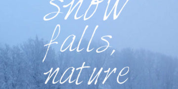 When snow falls, nature listens.
