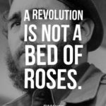A revolution is not a bed of roses.
