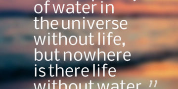 There’s plenty of water in the universe without life, but nowhere is there life without water.