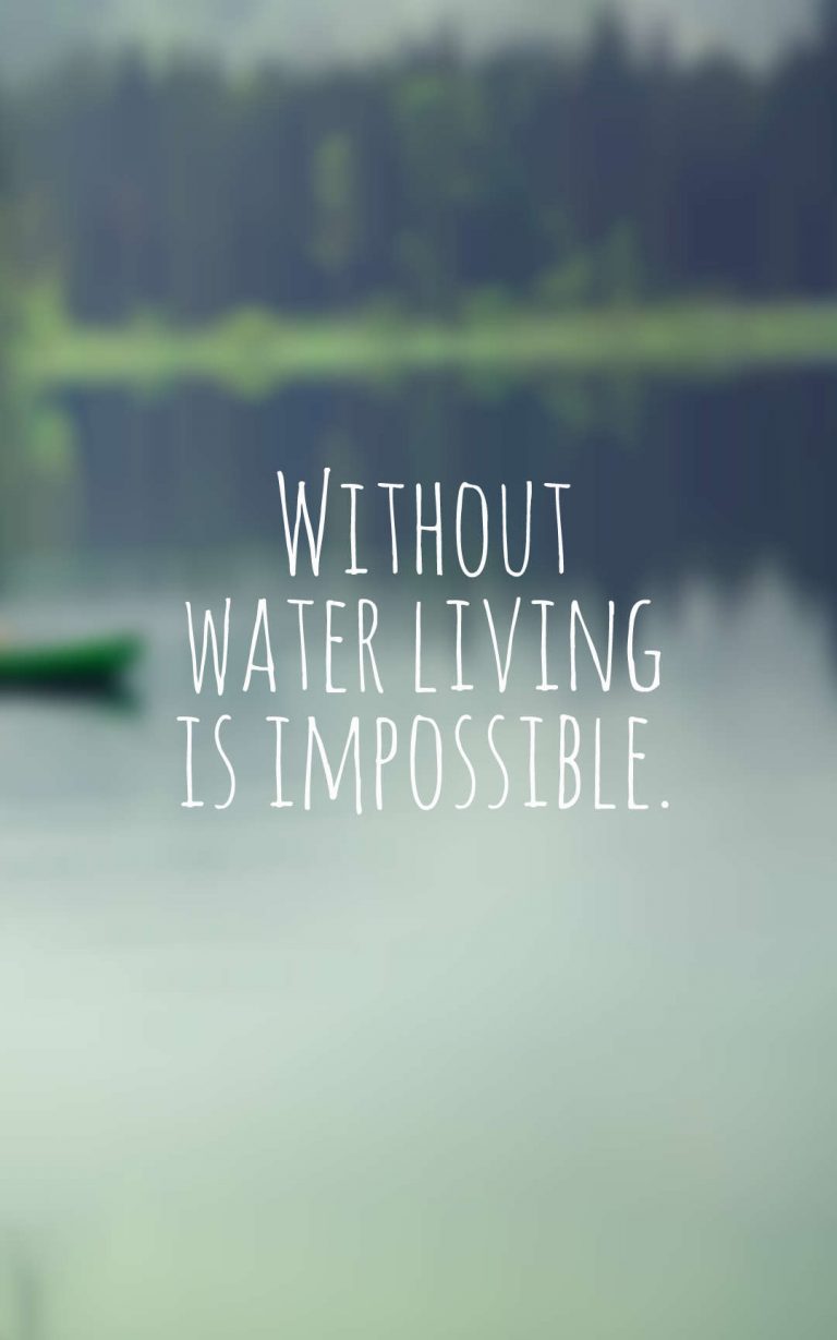 30 Inspirational Water Quotes And Sayings