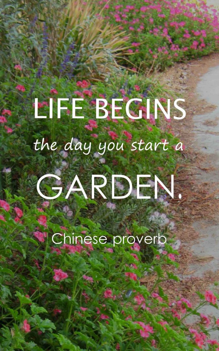 Top 50 Gardening Quotes and Sayings with Images