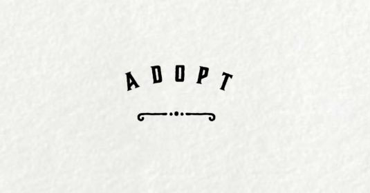 35 Adoption Quotes and Slogans