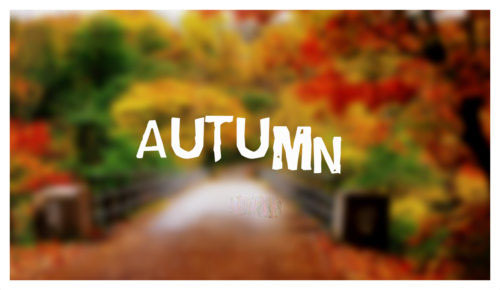 30+ Beautiful Autumn Quotes with Images – Fall Quotes