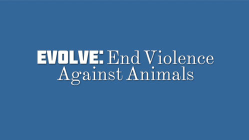 50+ Animal Abuse Quotes and Slogans