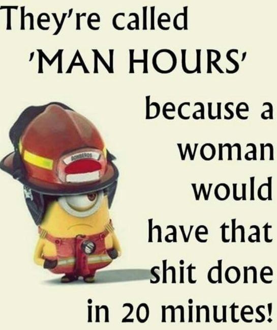 Best 40+ Very Funny Minions Quotes of the Week