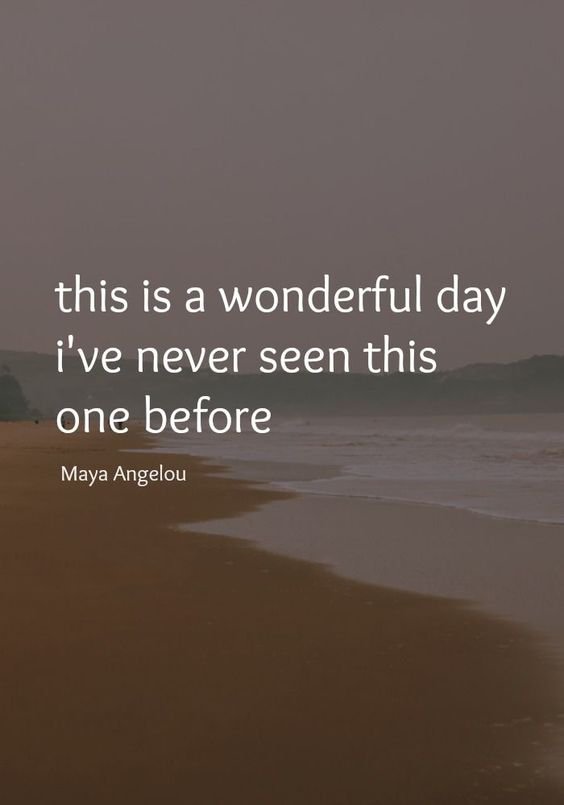 Gratitude Quotes, love and gratitude quotes, thankful and grateful quotes, gratitude quotes for kids, gratitude quotes images, gratitude quotes for friends, gratitude quotes for teachers,