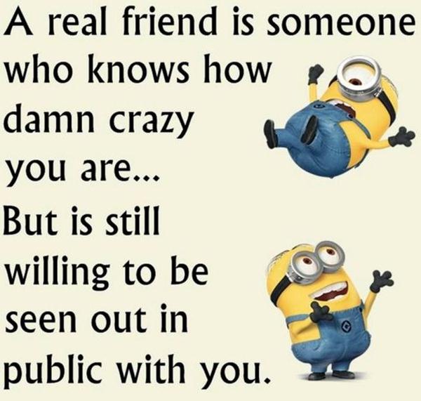 40 of The Best Minion Memes and Sayings That will Instantly Make You ...