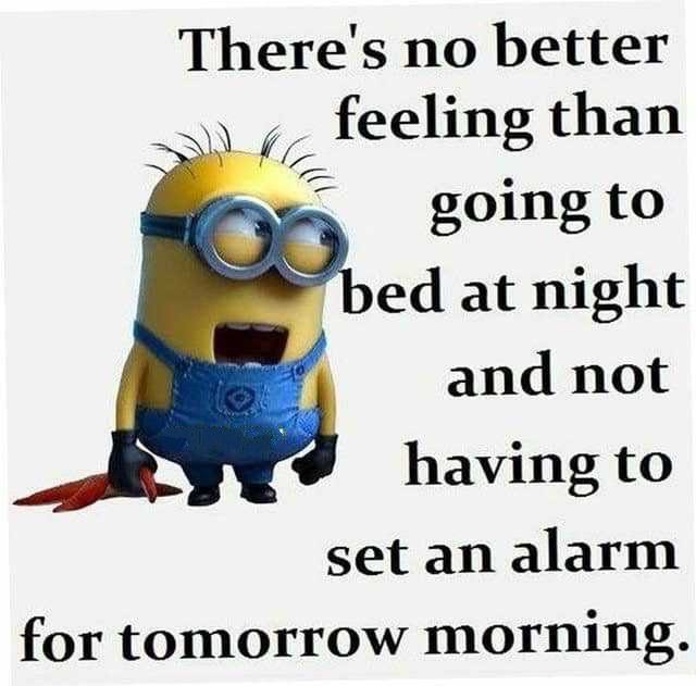27 Funny Quotes Inspirational That will Inspire You — Minions Quotes - Page 4 of 6 27 Funny Quotes Inspirational That will Inspire You — Minions Quotes - Page 4 of 6
