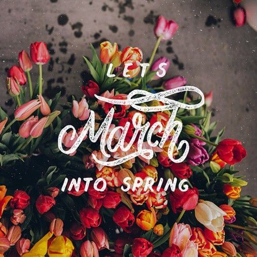 Cute March Background Pictures