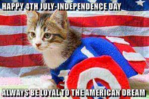 Independence Day Cat Memes