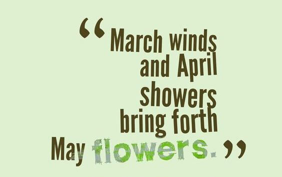 Sweet March Sayings