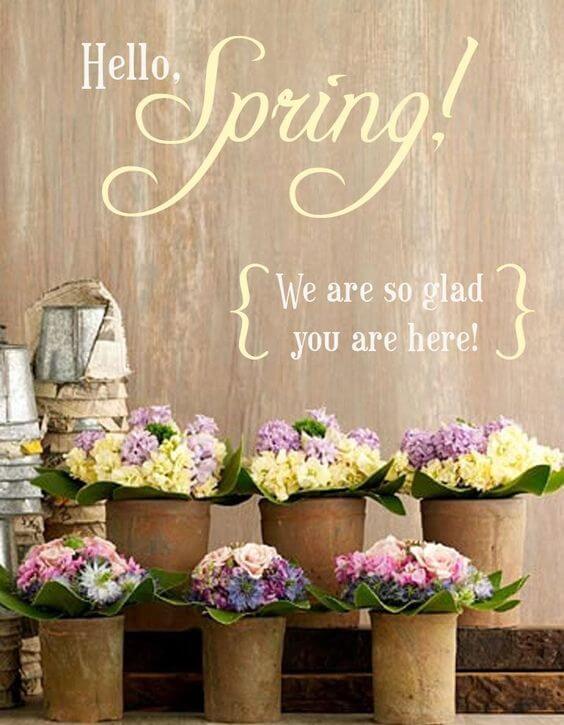 Welcome Spring Img