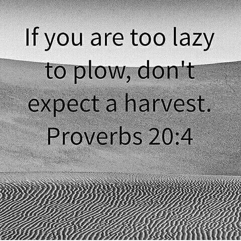 Bible Sayings On Lazy People