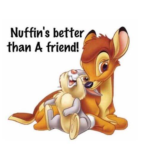 Disney Friendship quotes True Friends
