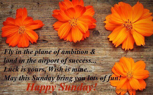 Happy Sunday Quotes and Wishes