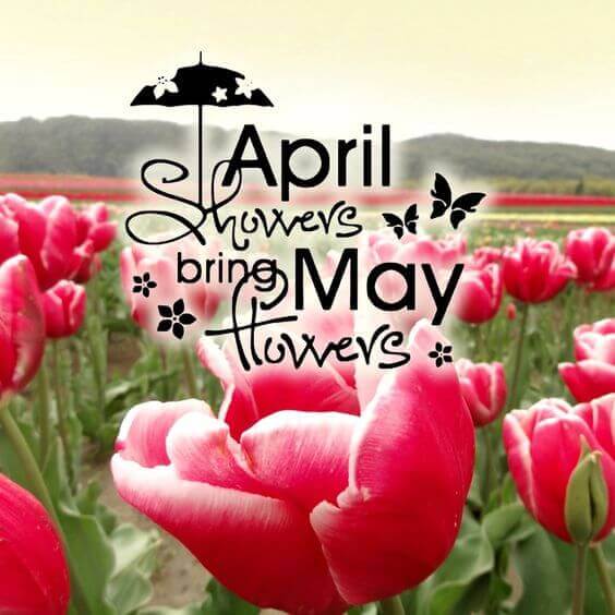 Hello May Spring Photos