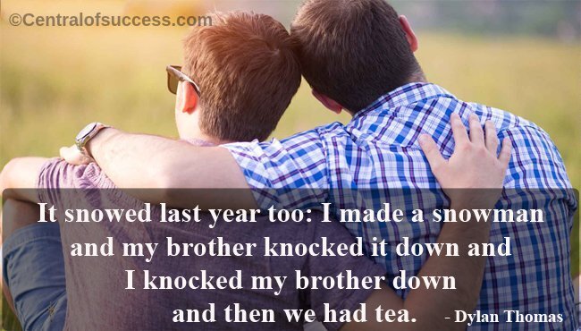 Most funny brother quotes with images