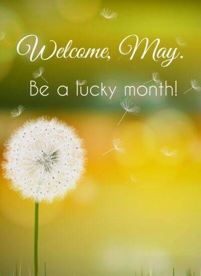 Welcome May Backgound Pic