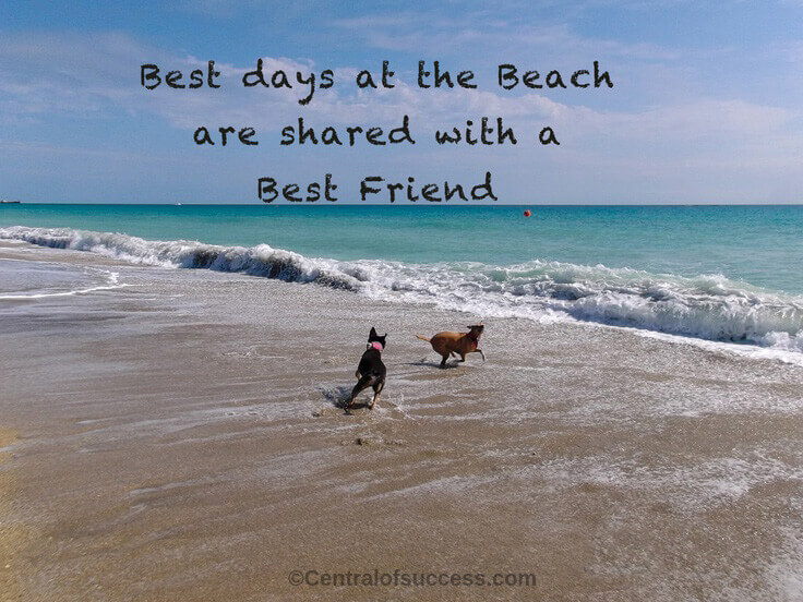 beach quotes