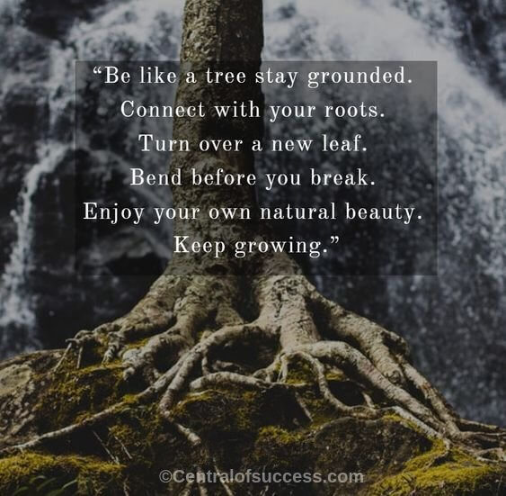 roots quotes