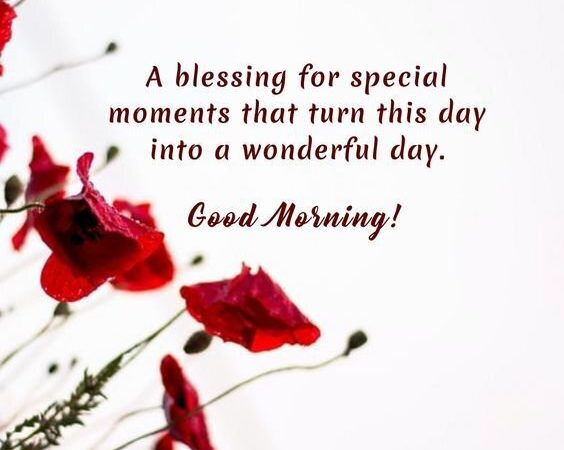 100+ BLESSED MORNING QUOTES AND WISHES WITH IMAGES