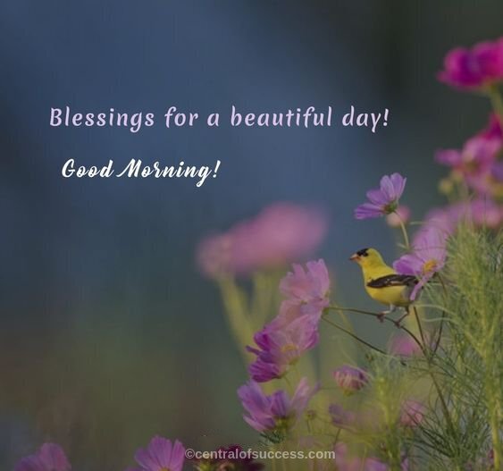 100+ BLESSED MORNING QUOTES AND WISHES WITH IMAGES