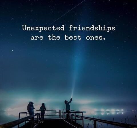 60+ UNEXPECTED FRIENDSHIPS QUOTES FOR YOUR BEST ONE