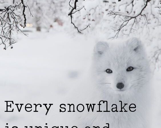 100+ AMAZING SNOWFLAKES QUOTES ABOUT BEING UNIQUE