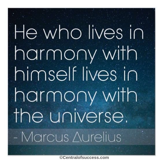 TOP 100+ HARMONY QUOTES AND SAYINGS