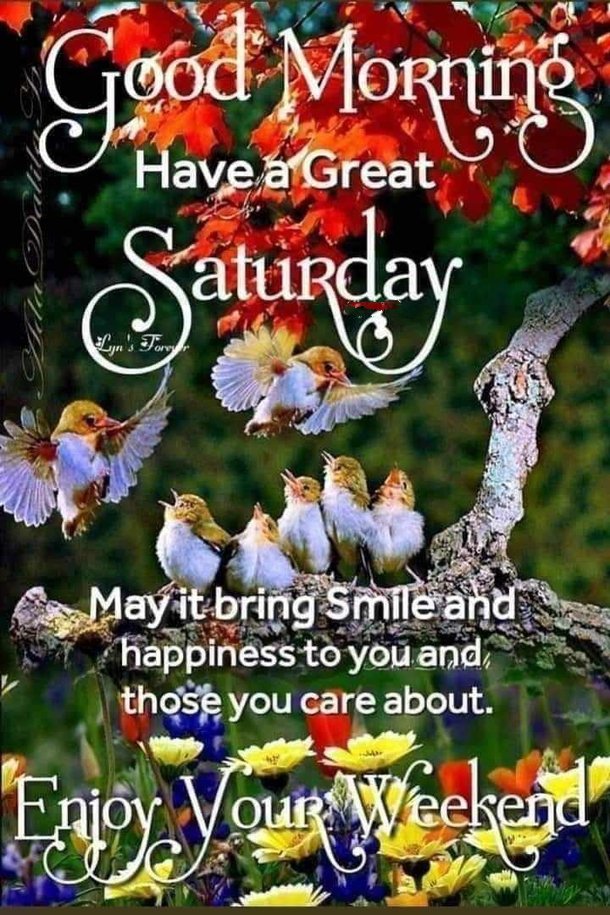 10 Happy Saturday Inspirational Quotes Full Of Happiness And Sunshine