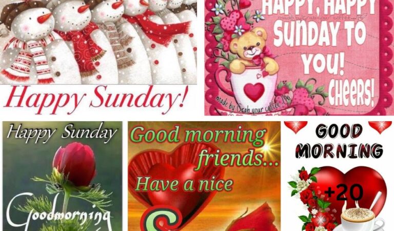 20 Good Morning Sunday Quotes To Get Your Day Started 20 Good Morning Sunday Quotes To Get Your Day Started